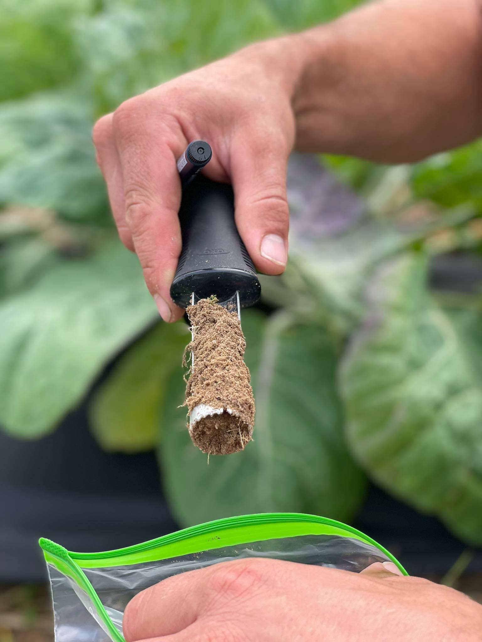 Pobieranie próbki do badania biologicznego gleby BioFarmLab