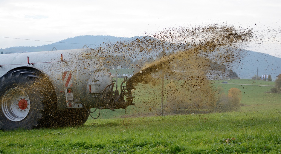 Obornik i procesy rozkładu — BioFarmLab